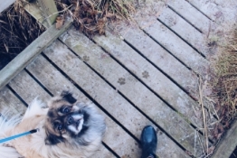 Pour trouver un partenaire CIN près de chez vous